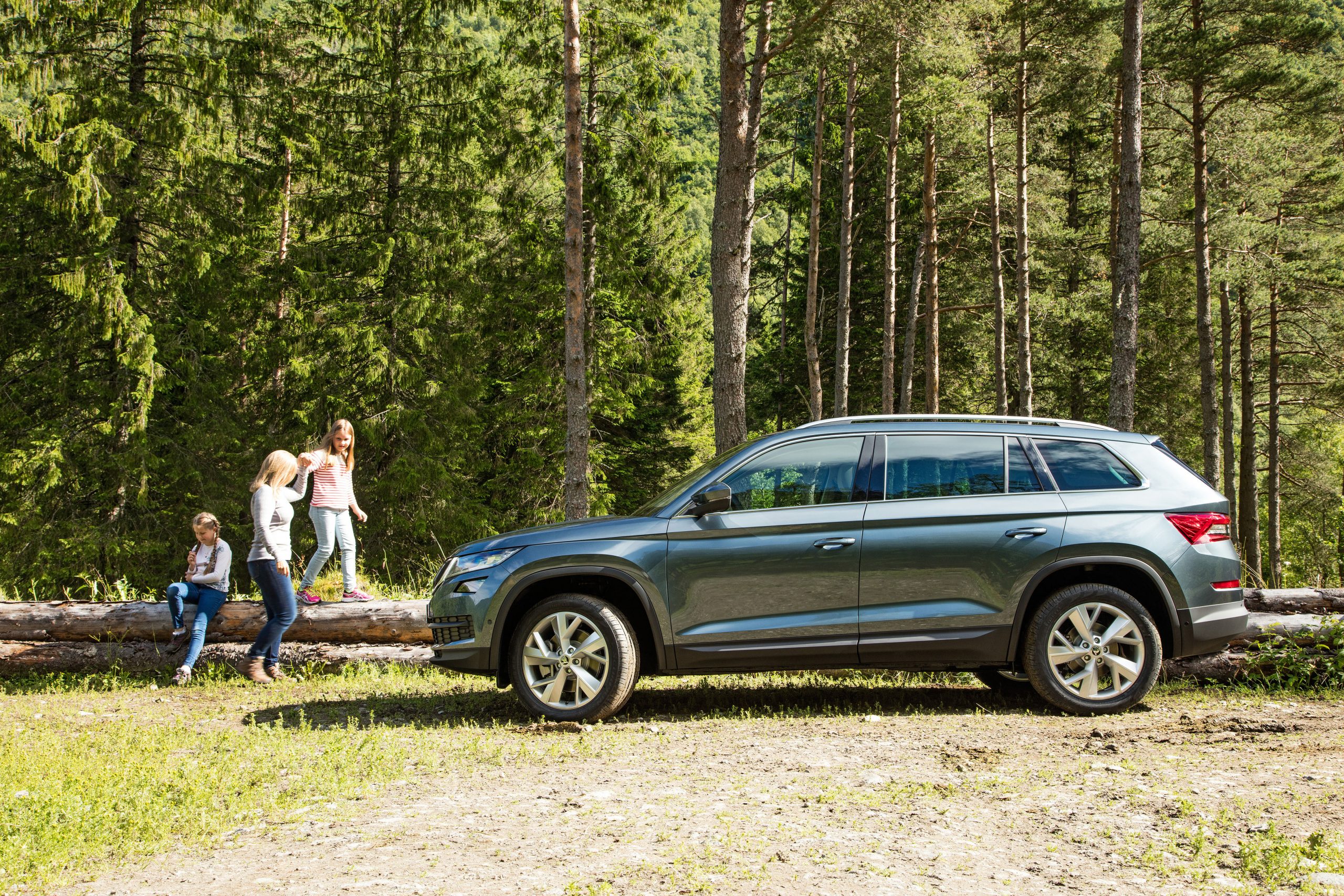 Шкода кодиак. Кодиак плюсы и минусы. Кодиак плюсы и минусы. Skoda kodiaq 2023. Кодиак плюсы и минусы.