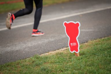 When the Bear Helps