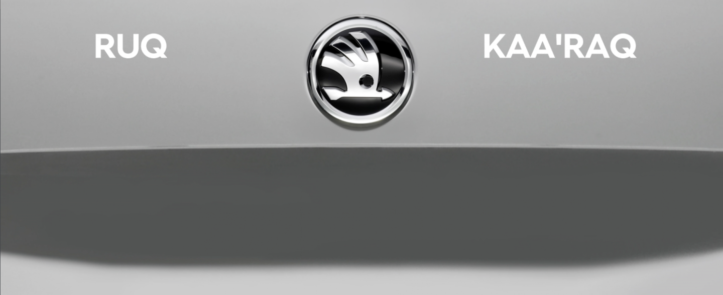 Skoda Karoq Business Edition The One Thing Everyone Forgets To Mention - ibn7b3b