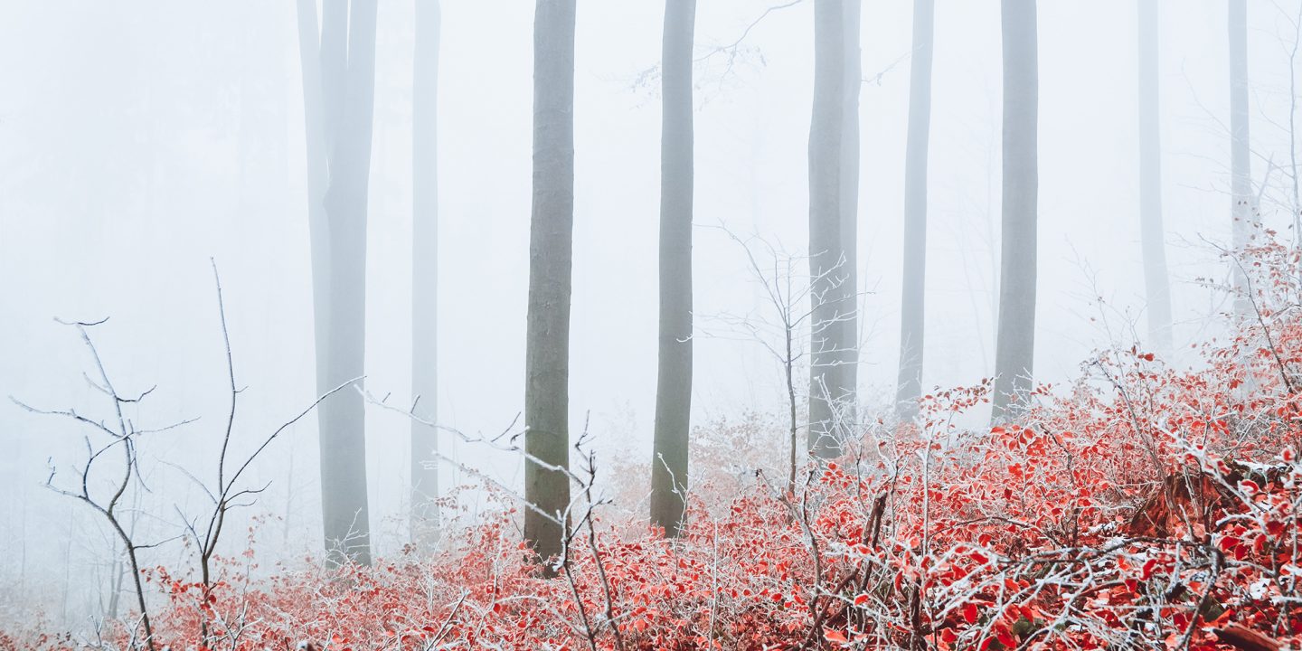Visit Czechia: Jeseníky Mountains