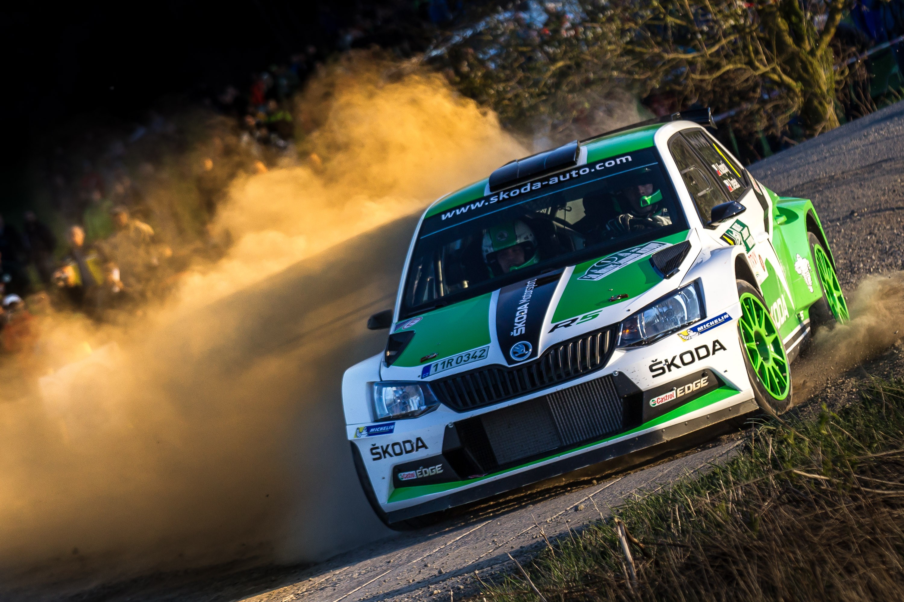 Rally Sumava Klatovy 2015