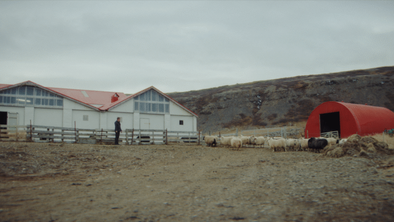 The Immortal Octavia: See What It Looks Like After One Million Kilometres