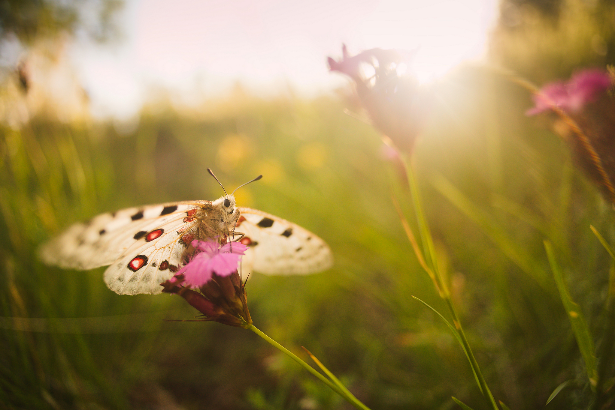 Jakub-Ciubik-8_cce14279