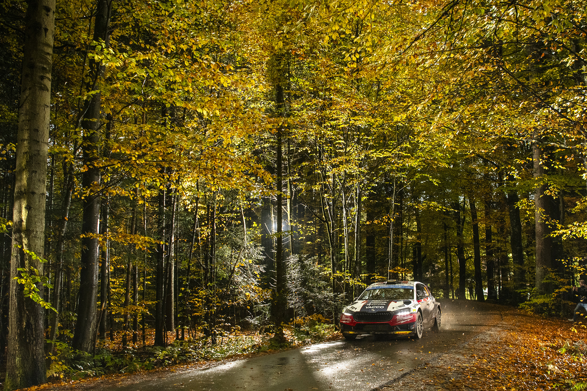 Erik_Cais-2_b3f60d26