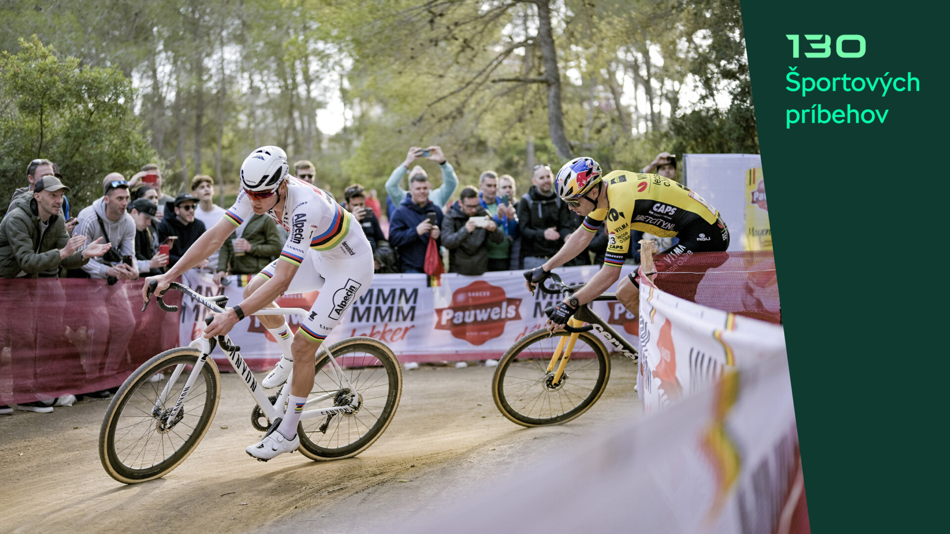 2015: Jednoducho jedinečný MVDP