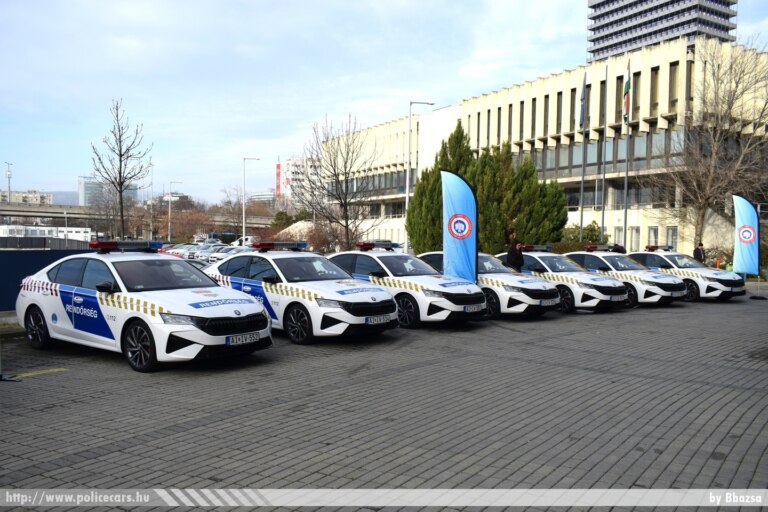 Škoda Octavia police cars in Albania