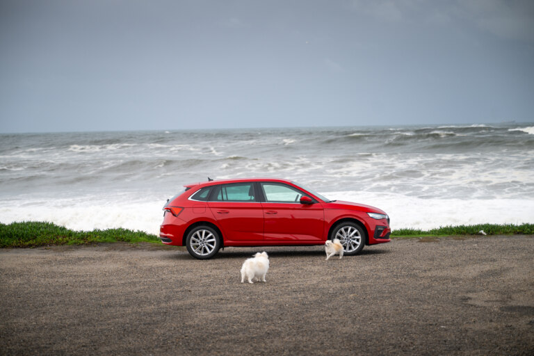 Venčení psů u rozbouřeného oceánu není v Portu nic neobvyklého.