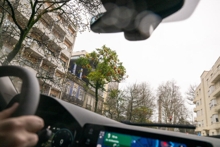 Divoký pomerančovník se odmítá vzdát zeleně a plodů i v zimním období