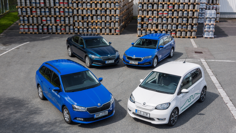 Firmy volí pro své potřeby často širší paletu modelů.