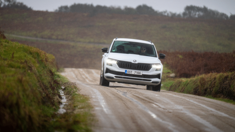 Gravel stages are highly attractive for spectators and are equally popular among drivers.