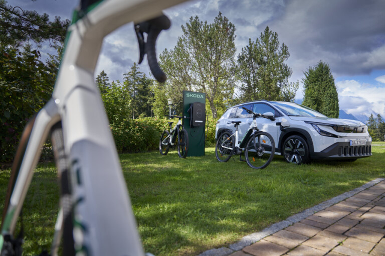 DSC09631_65aff8e3