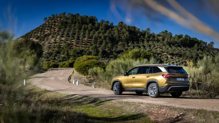 Subscription background